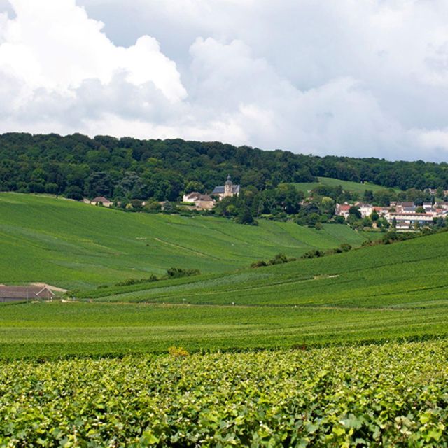 Marne: 2-Day Champagne Tour With Tastings and Lunches - Day 1 Itinerary