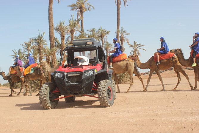 Marrakech: Camel Ride In The Palm Grove Tour Overview