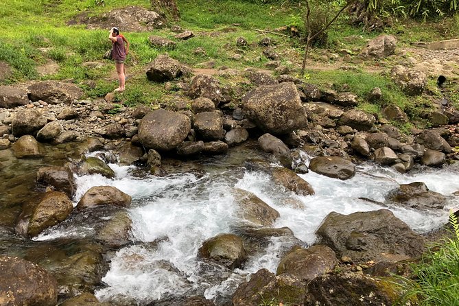 Martinique Shore Excursion - Unmissable Martinique North Tour - Rum Distillery Visit