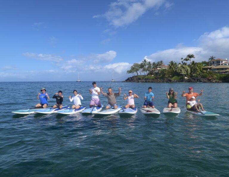 Maui: Beginner Level Private Stand Up Paddleboard Lesson Overview Of The Experience