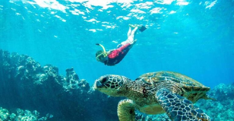 Maui: Cruise With Snorkeling And Barbecue Lunch Cruise Duration And Departure