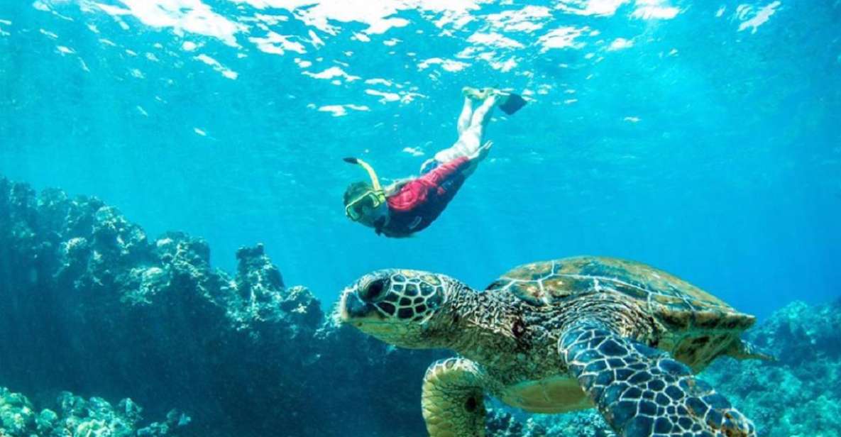 Maui: Cruise With Snorkeling and Barbecue Lunch - Cruise Duration and Departure