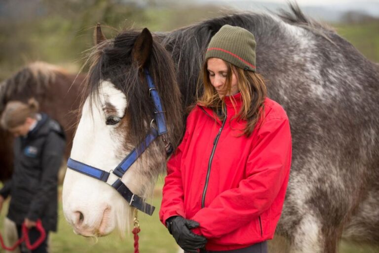 Meditate With Horses Full Circle Experiences Serene Landscapes Of Lake District