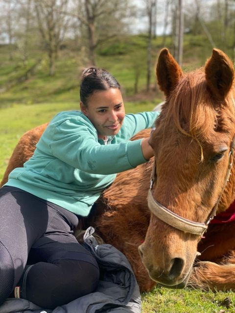 Meditate With Horses Safety And Preparation