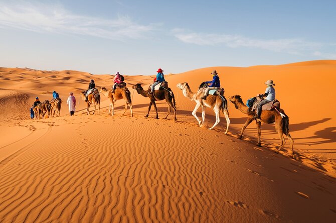 Merzouga Desert Overnight, Camel, Sandboarding
