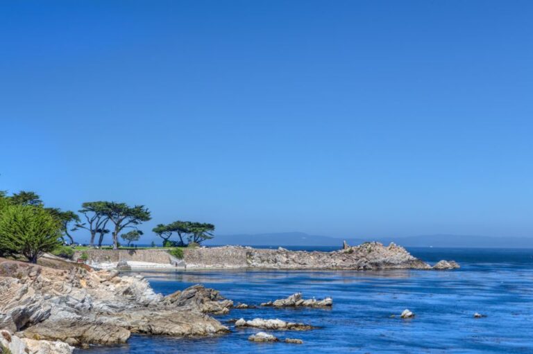 Monterey Peninsula Sightseeing Tour Including 17 Mile Drive Tour Overview And Pricing