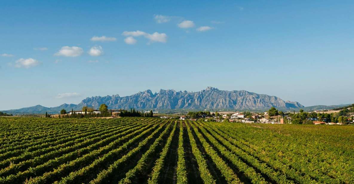 Montserrat & Cava Wineries Day Trip From Barcelona W/ Pickup - Tour Details and Highlights