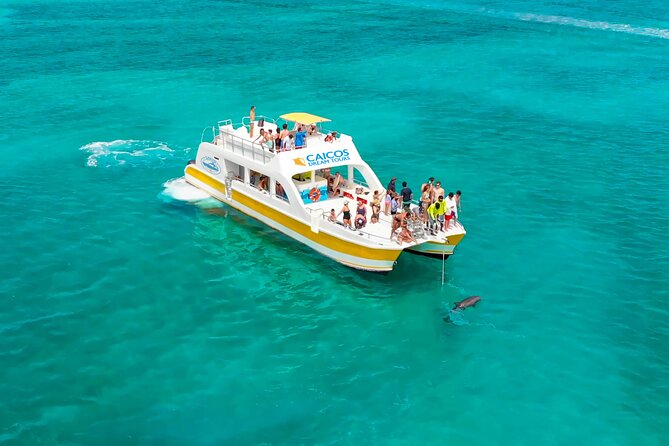 Morning Half Day Cruise From Providenciales With Snorkeling and Iguana Island - Overview of the Morning Cruise