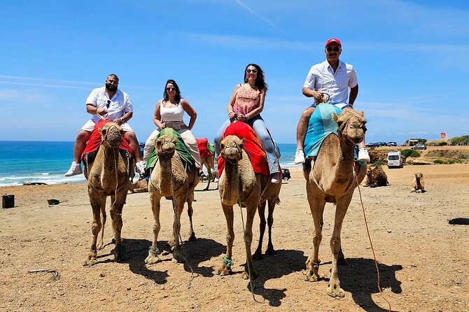 Morocco:Tangier Private Tour From Malaga Province or Tarifa - Overview of the Tour