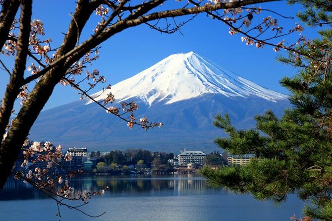 Mt. Fuji & Lake Kawaguchiko Private 1 Day Tour With Pick & Drop Overview Of The Tour