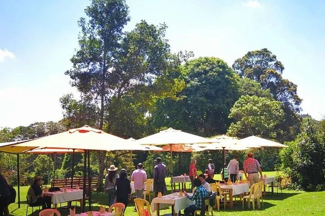 Nairobi to Kiambethu Tea Farm Tour
