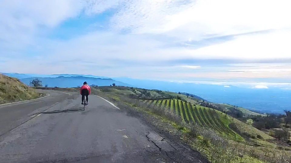 Napa/Sonoma: Guided Tour for Cycling Enthusiasts - Tour Highlights