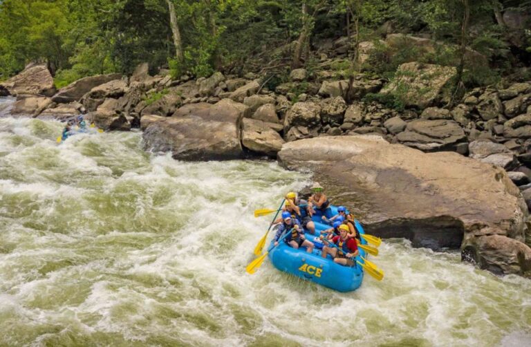 New River Gorge Whitewater Rafting Lower New Half Day Activity Overview