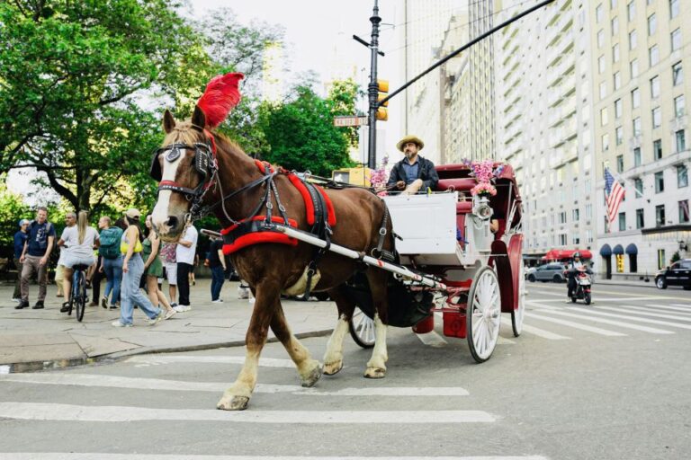 New York City: Central Park Private Horse And Carriage Tour Highlights Of The Tour