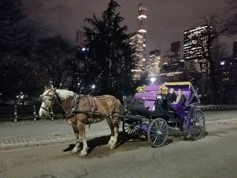 New York City: Horse and Carriage Rides in Central Park