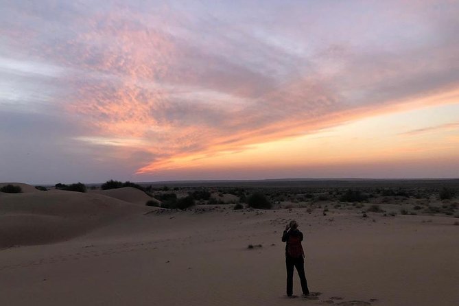 Non Touristic Half Day Camel Safari Thar Desert Sunset Inclusions