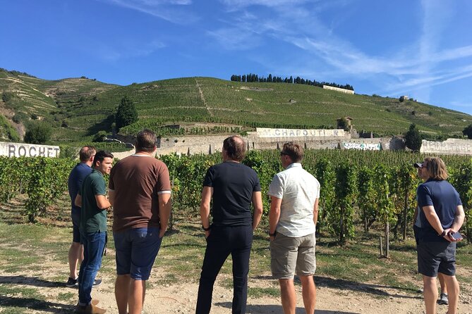 Northern Rhône Valley Day Tour With Wine Tasting From Lyon