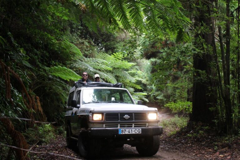 Northwests 50 Shades Of Green, Rock Pools & Waterfalls Tour Tour Details