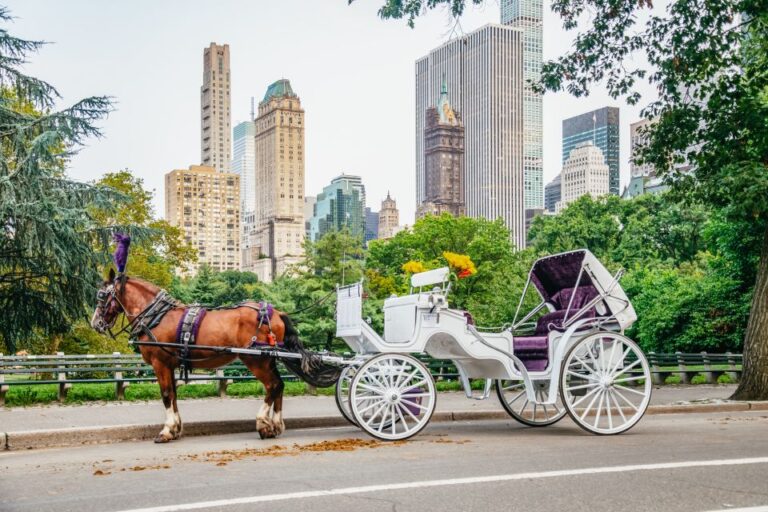 Nyc: Guided Central Park Horse Carriage Ride Tour Overview