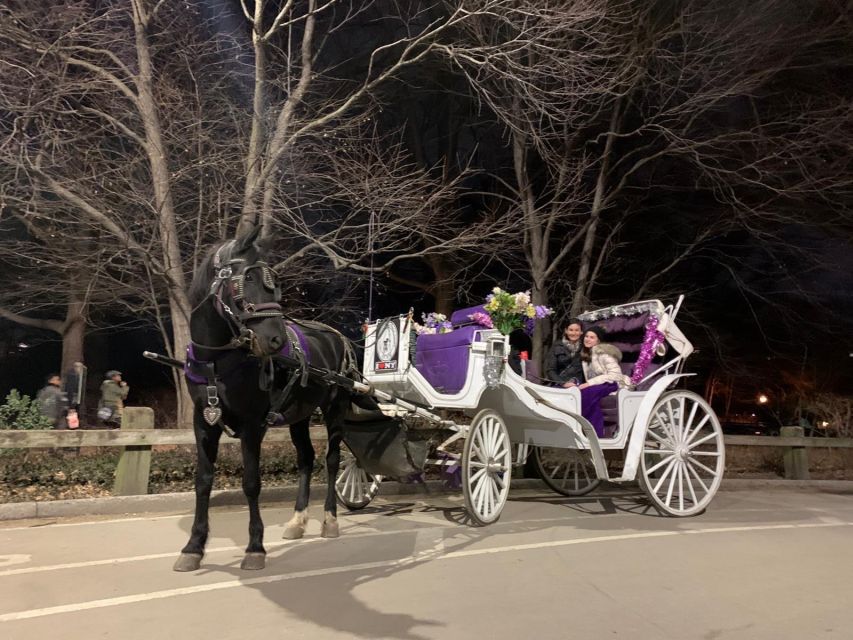 NYC Horse Carriage Ride in Central Park (65 Min) - Overview of the Activity