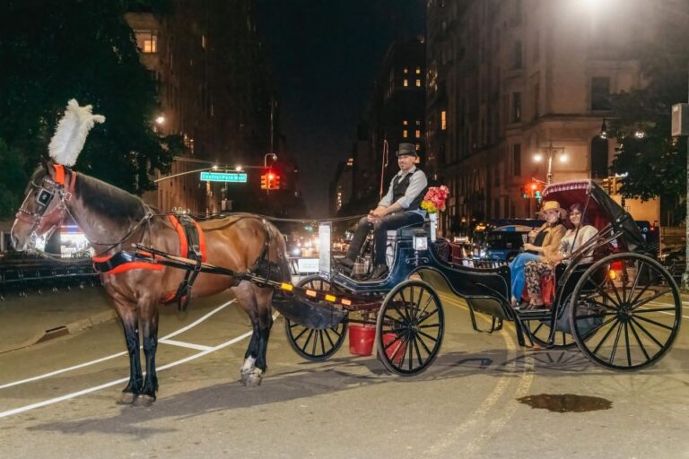 NYC MOONLIGHT HORSE CARRIAGE RIDE Through Central Park