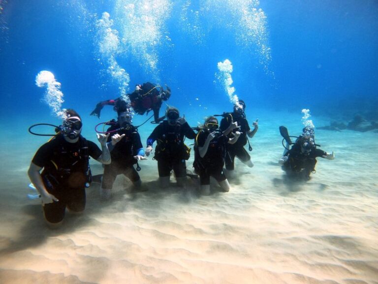 Oahu: Scuba Diving Lesson For Beginners Overview Of The Scuba Diving Lesson