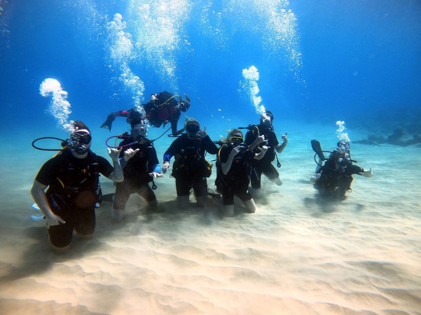 Oahu: Scuba Diving Lesson for Beginners - Overview of the Scuba Diving Lesson