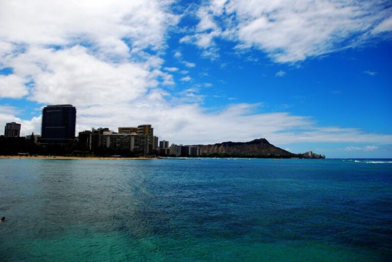 Oahu: Waikiki Eco Friendly Afternoon Whale Watching Trip Overview Of The Whale Watching Trip