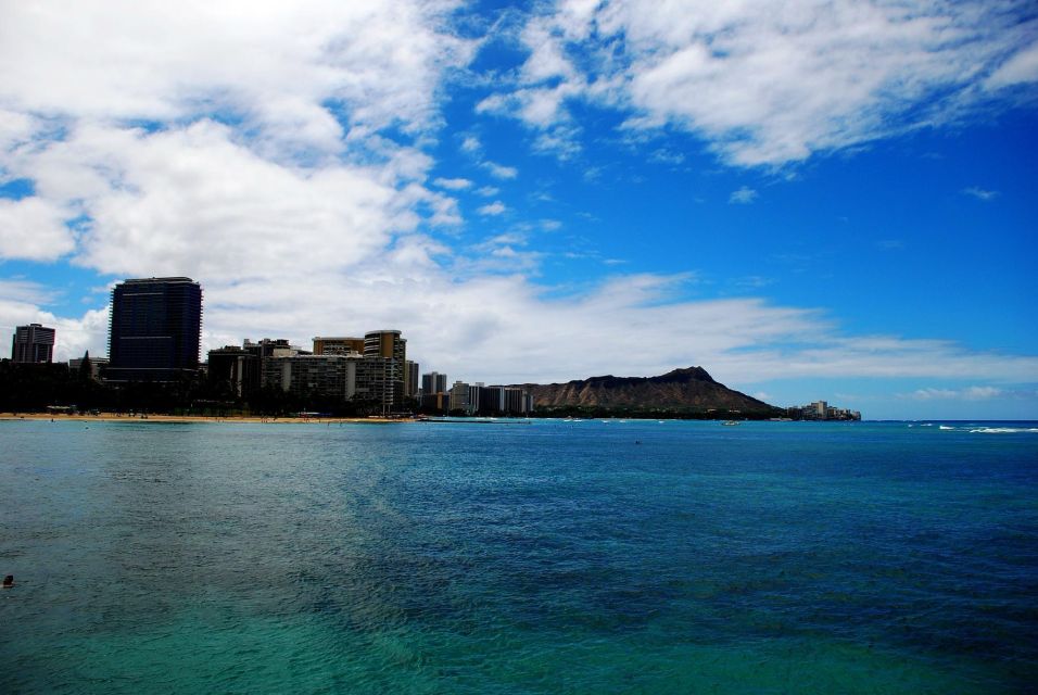 Oahu: Waikiki Eco-Friendly Afternoon Whale Watching Trip - Overview of the Whale Watching Trip