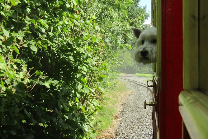 Oakfield Park Day Pass And Train Ride Combination Ticket Details