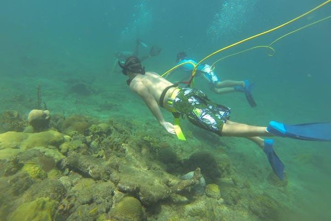 Octopus Diving (hookah Diving) No Experience Needed Activity Details