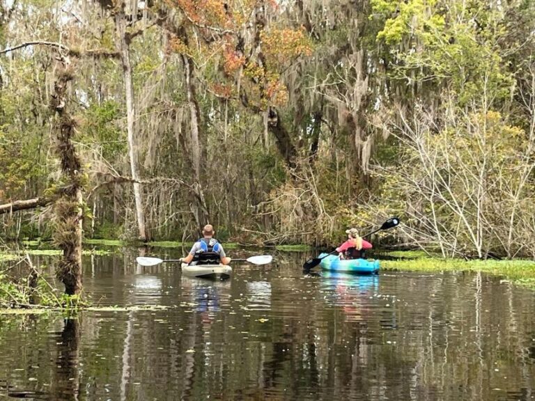 Old Florida Backwater Kayak Adventure Near St. Augustine Tour Overview