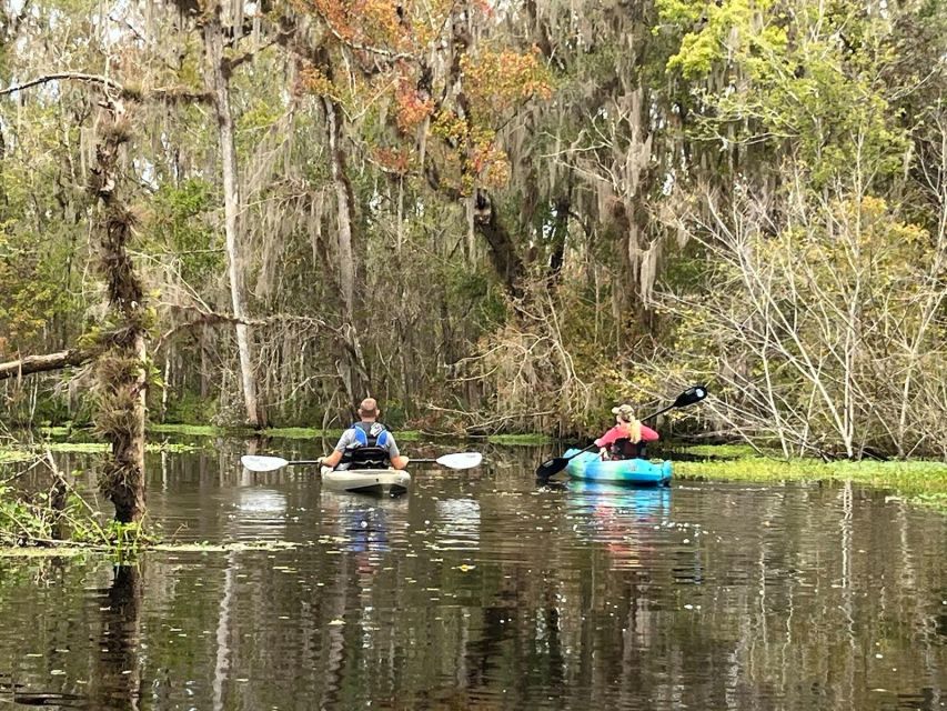 Old Florida Backwater Kayak Adventure Near St. Augustine - Tour Overview