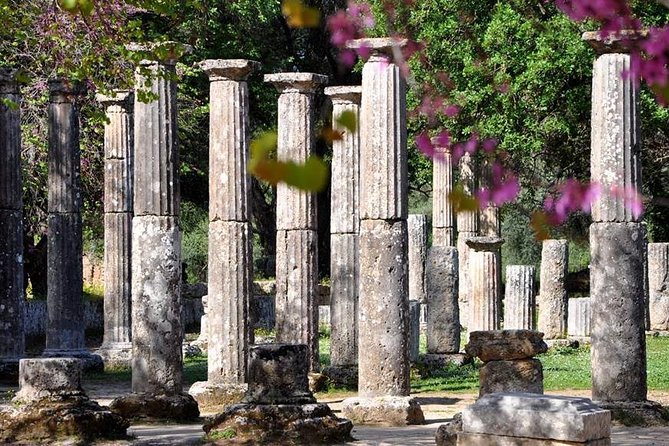 Olympia Shore Excursion: Ancient Olympia Plus Honey Farm & Olive Oil Tasting Tour Overview