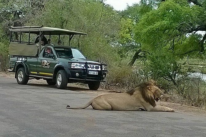 Open Vehical Safari in Kruger National Park Half Day