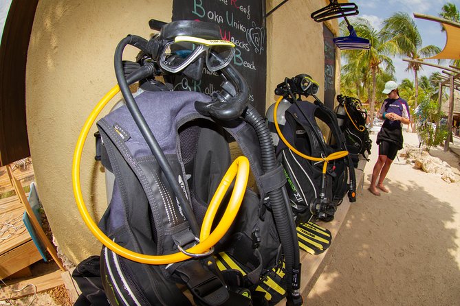 Open Water Diver Course At Blue Bay Dive In Curacao Course Overview