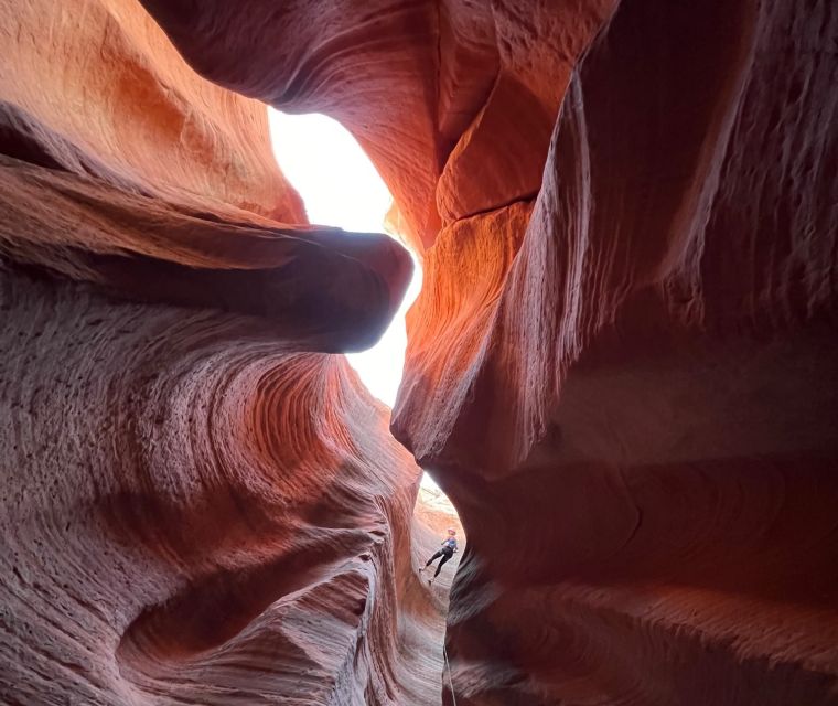 Orderville: Rappelling Slot Canyon And Utv Tour Inclusions