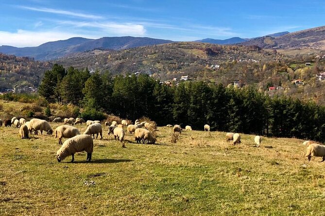 Original Carpathian Village Experience And Sinaia In One Day Tour Tour Overview