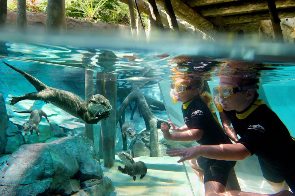 Orlando: Discovery Cove Admission Ticket & Additional Parks - Overview and Inclusions