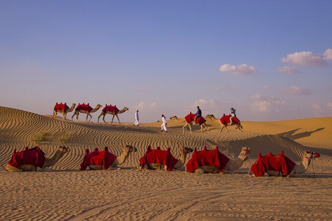 Overnight Camel Caravan With Bbq Dinner And Arabic Breakfast Exploring Dubais Desert Landscapes