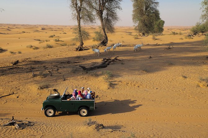 Overnight Desert Safari Vintage Land Rovers & Traditional Activities Wildlife Spotting Drive