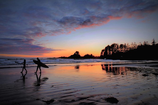 Pacific Rim Tour (ucluelet & Tofino) Tour Overview