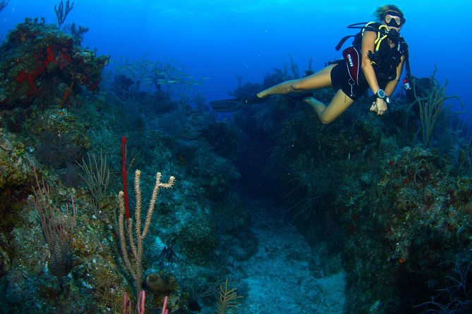 Padi Discover Scuba Diving And Day Pass In Freeport Included In The Experience