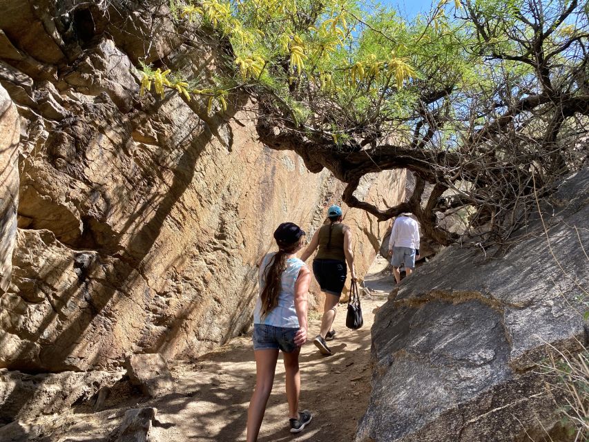 Palm Springs: Indian Canyons Hiking Tour by Jeep - Tour Overview