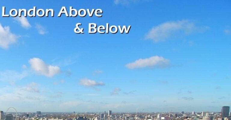 Panoramic Views Of London By Black Cab Tour Overview