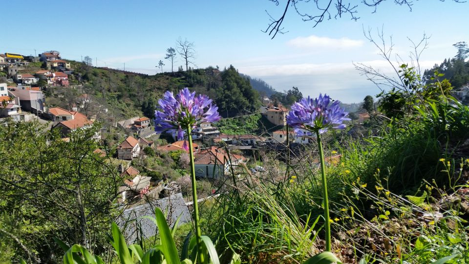 Paradise Valley Half-Day Morning Walk. - Activity Overview