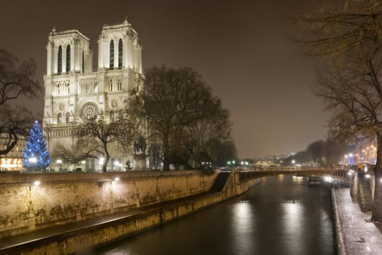 Paris: Christmas Lunch Or Dinner Cruise Overview Of The Cruise