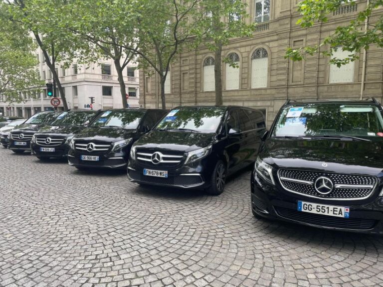 Paris : Luxury Private Transfer To Disneyland Service Offerings