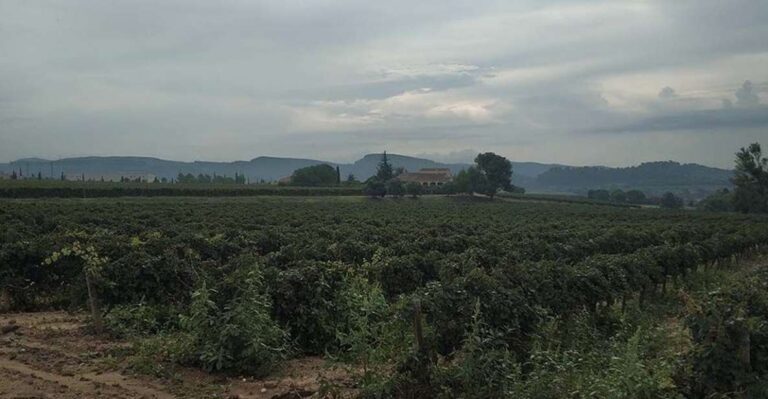 Penedes: Private Wine And Cava Tasting Tour Overview Of The Tour