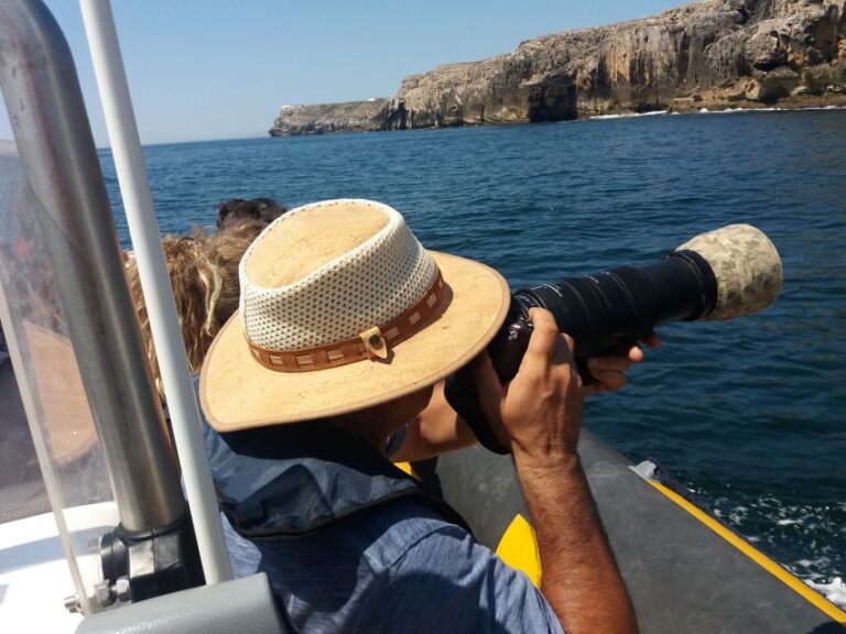 Peniche: Dolphin Route Boat Trip Duration And Pricing